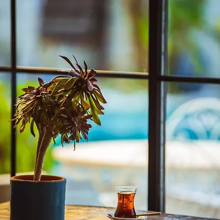 Cumbali (adults Only) Alacati